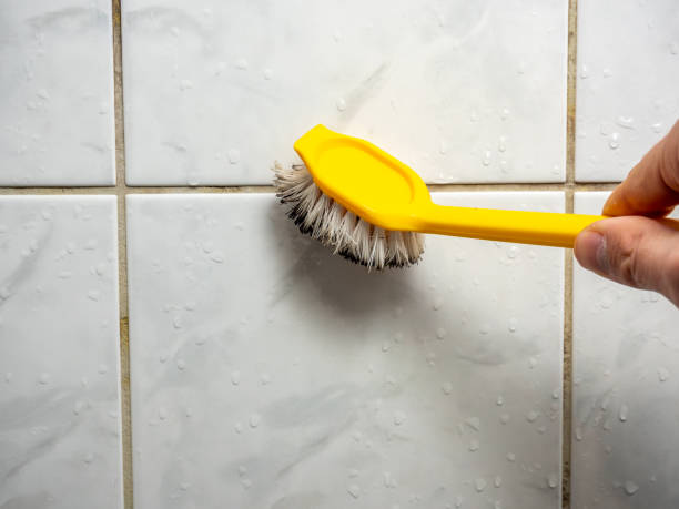 Best Bathroom Mold Remediation in Melrose Park, IL