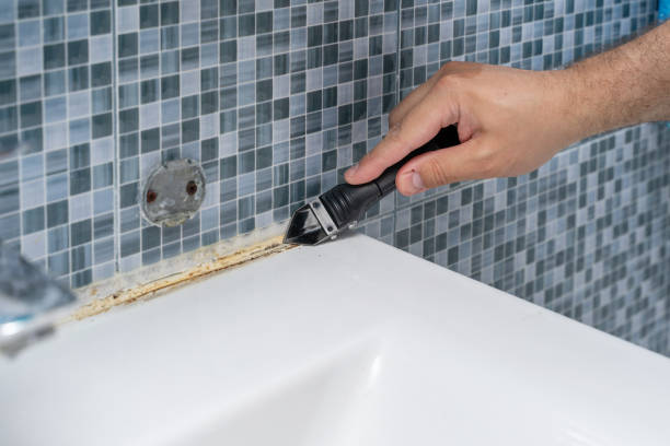 Reliable Melrose Park, IL Mold Remediation Solutions