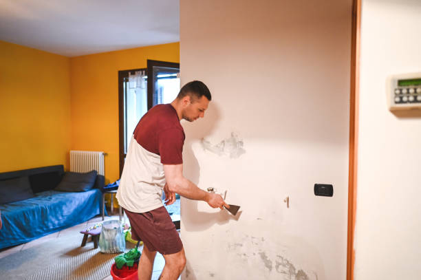 Best Basement Mold Remediation in Melrose Park, IL